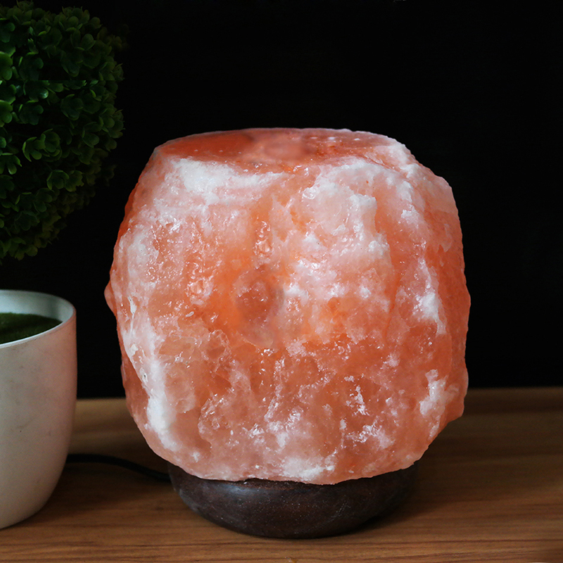 wholesale Himalayan salt lamp diffuser (3).jpg